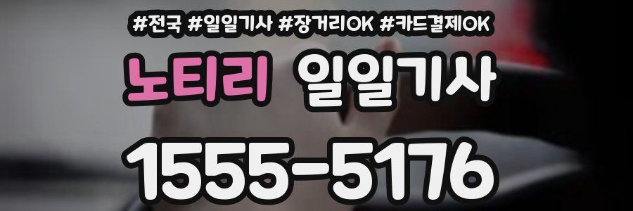 노티리 일일기사