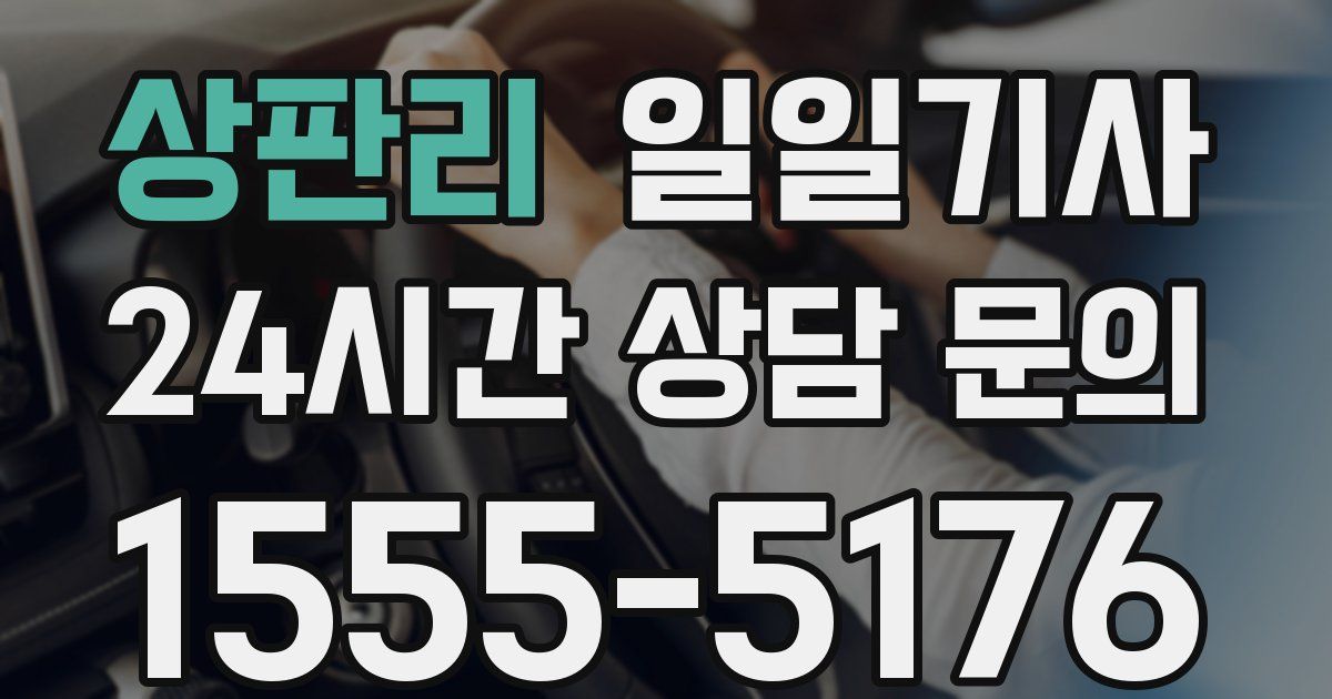 일일대리기사