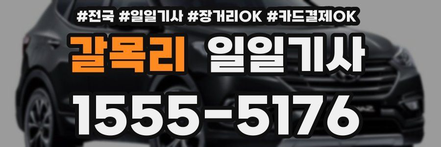 갈목리 일일기사