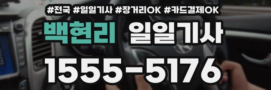 백현리 일일기사