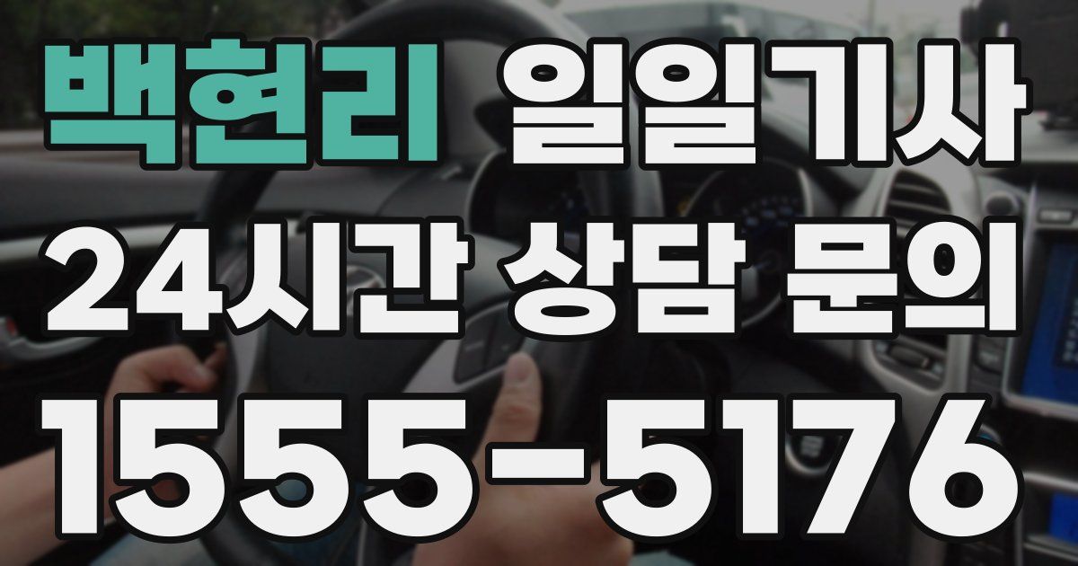 일일대리기사