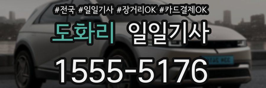 도화리 일일기사