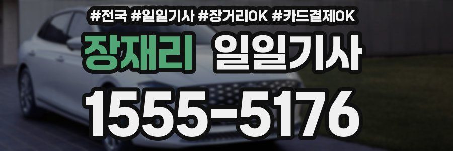 장재리 일일기사
