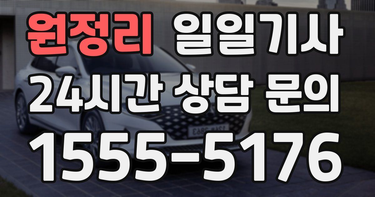일일대리기사
