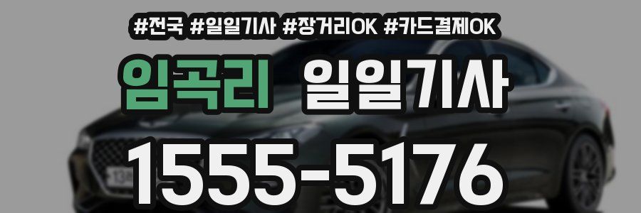 임곡리 일일기사