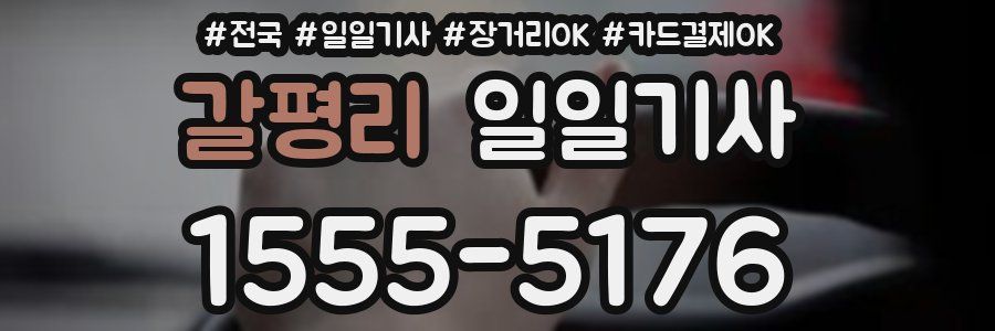 갈평리 일일기사