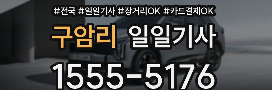 구암리 일일기사