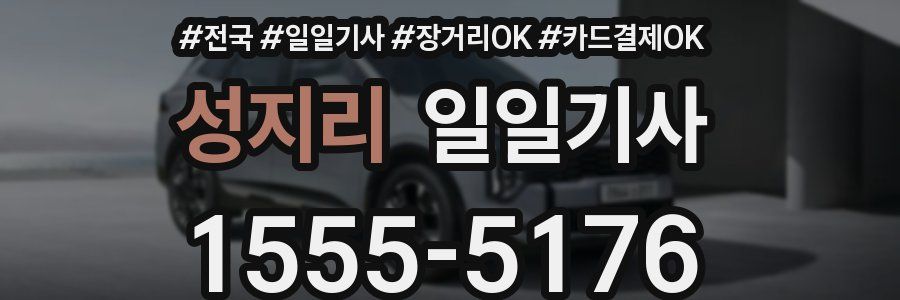 성지리 일일기사