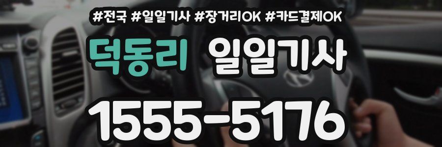 덕동리 일일기사