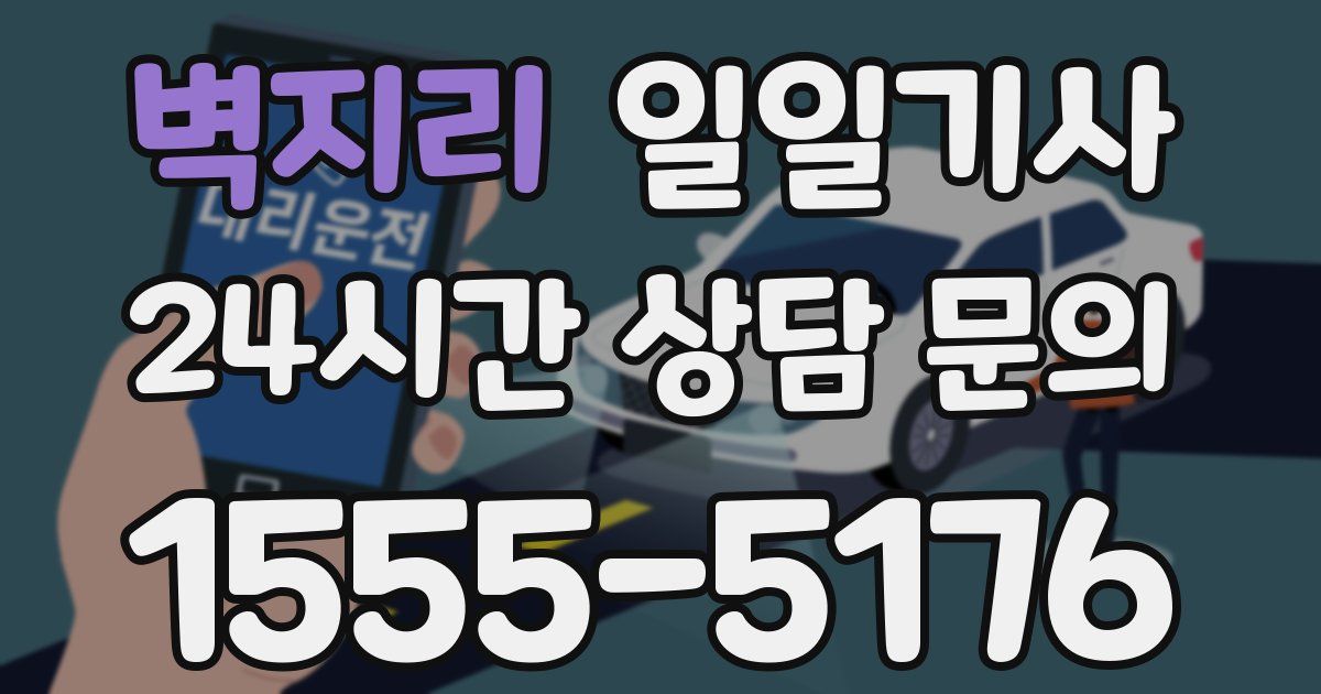 일일대리기사