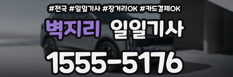 벽지리 일일기사