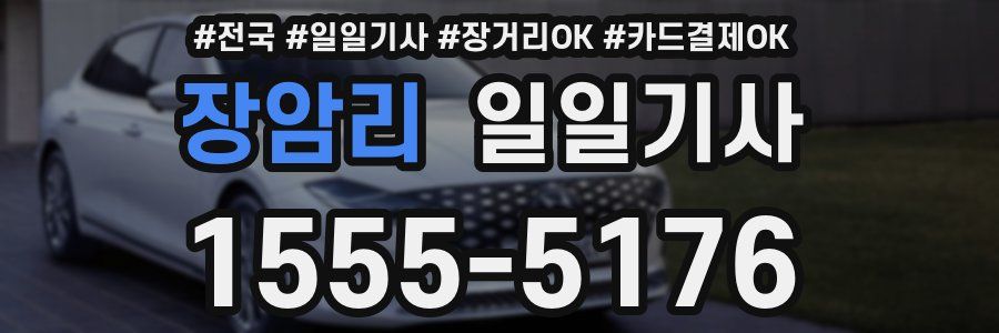 장암리 일일기사