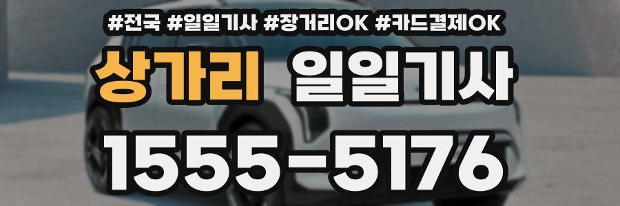 상가리 일일기사