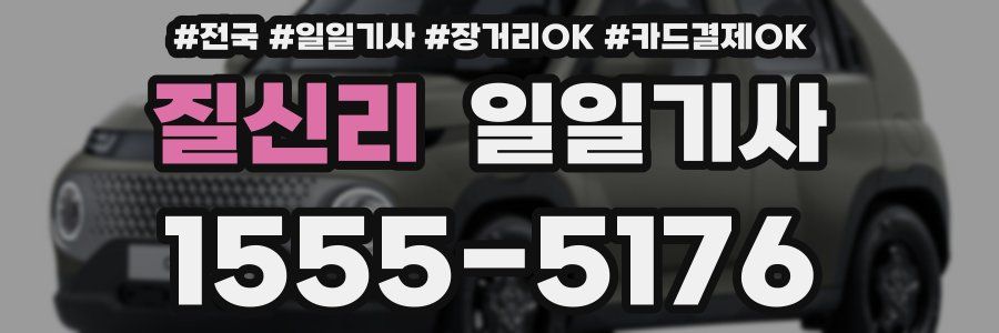 질신리 일일기사