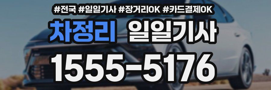 차정리 일일기사