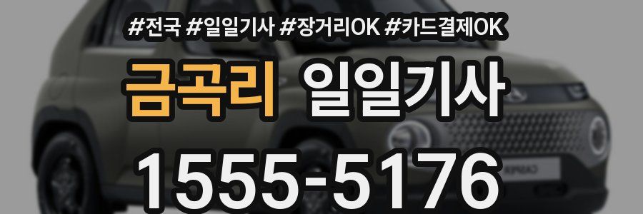 금곡리 일일기사