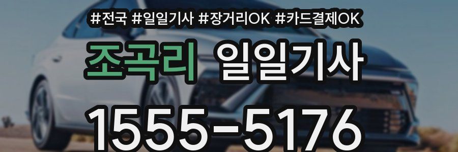 조곡리 일일기사