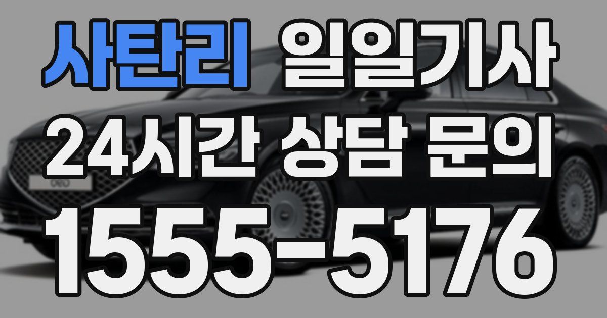 일일대리기사