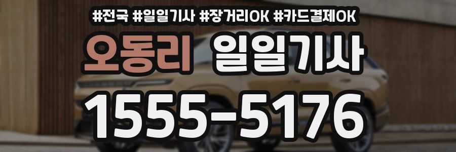 오동리 일일기사