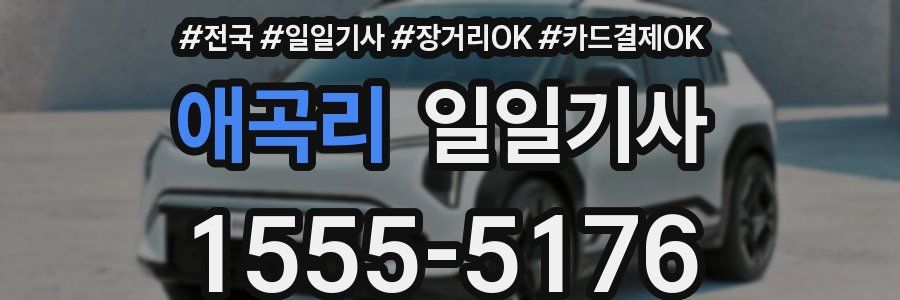 애곡리 일일기사