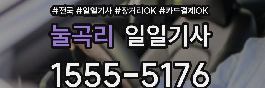 눌곡리 일일기사