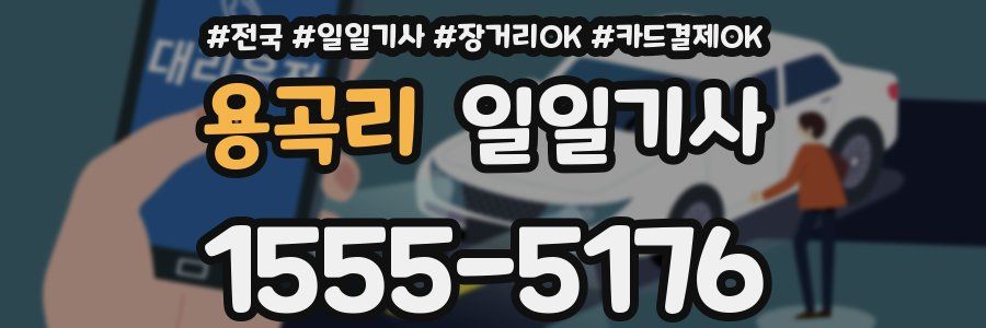 용곡리 일일기사