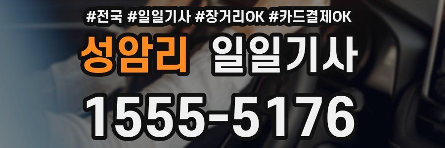 성암리 일일기사