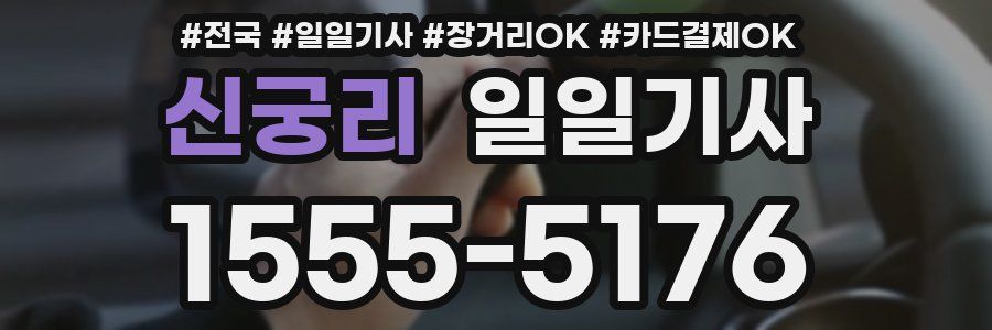 신궁리 일일기사