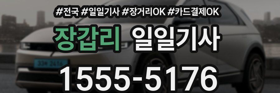 장갑리 일일기사