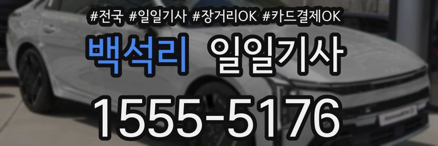 백석리 일일기사