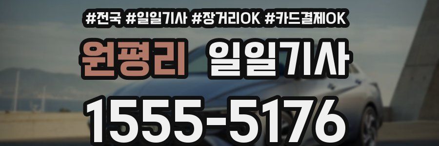 원평리 일일기사