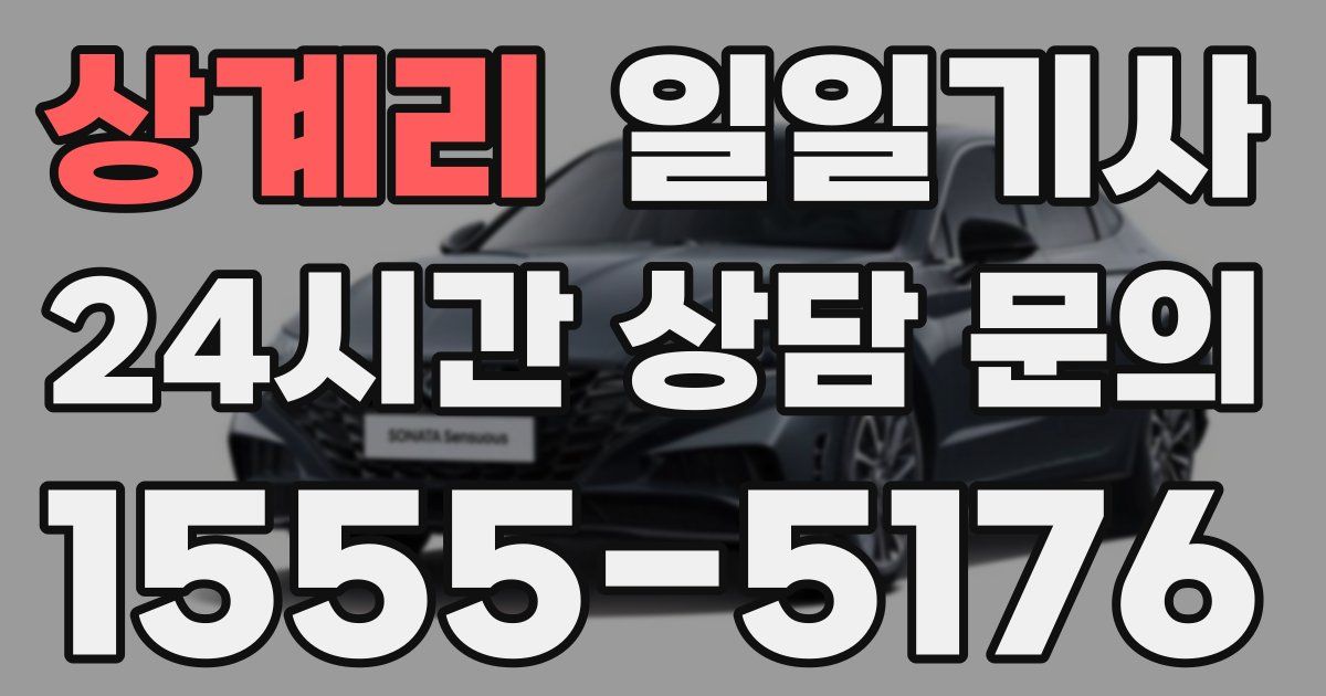 일일대리기사