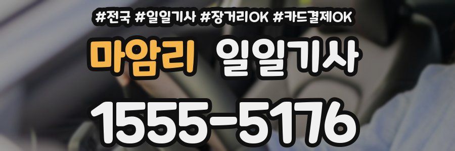 마암리 일일기사