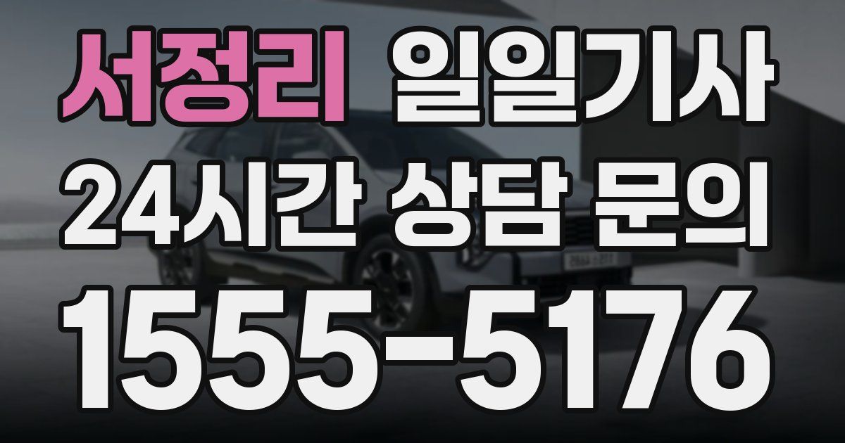 일일대리기사