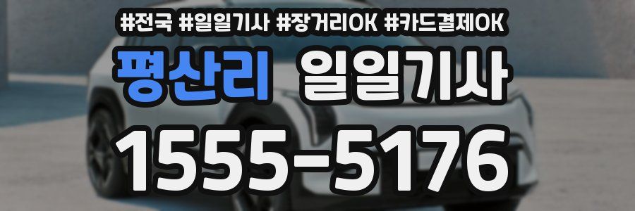 평산리 일일기사