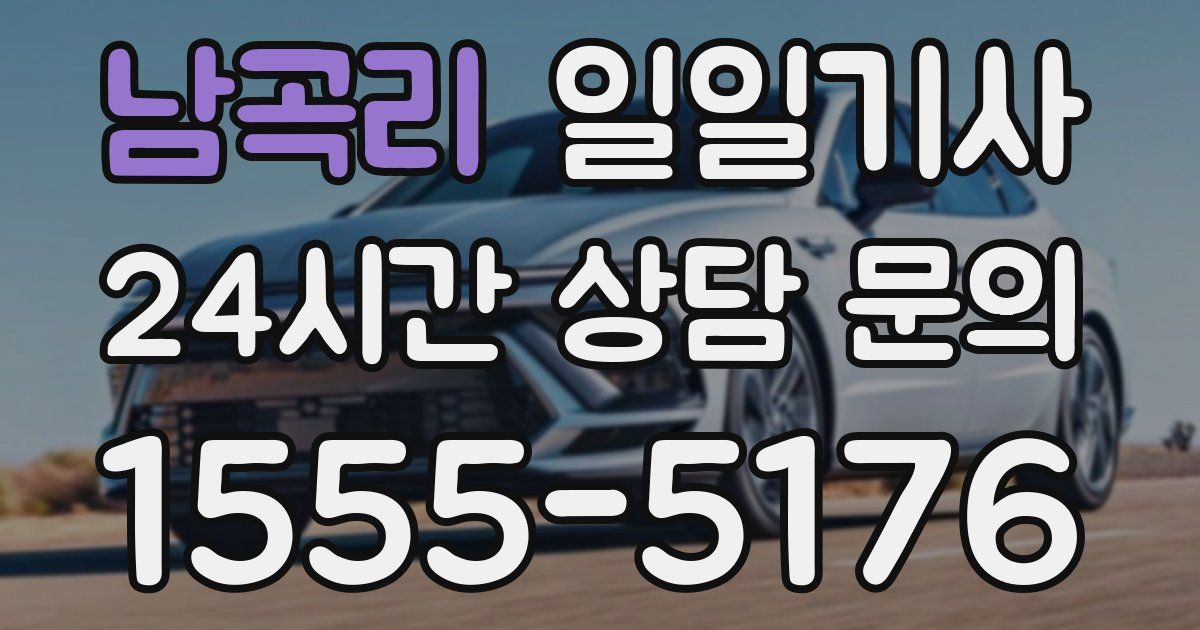 일일대리기사