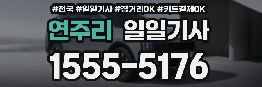연주리 일일기사