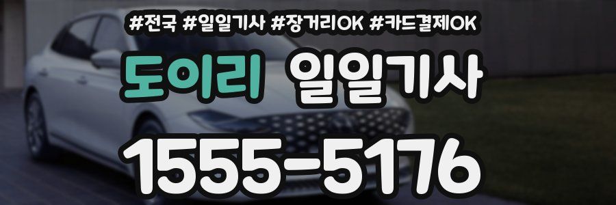 도이리 일일기사