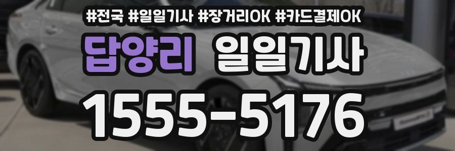 답양리 일일기사