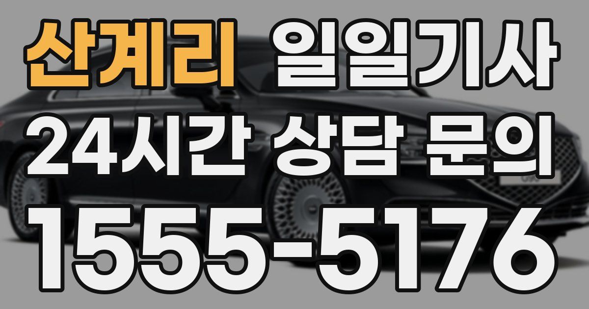 일일대리기사