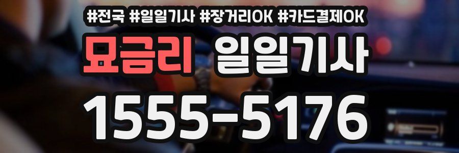 묘금리 일일기사