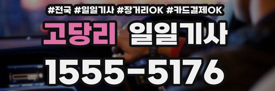 고당리 일일기사