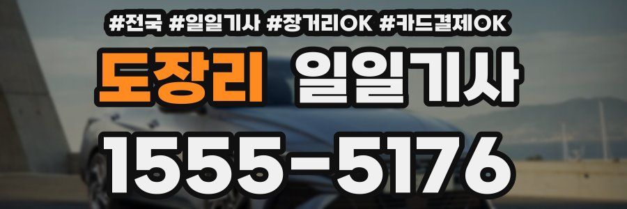 도장리 일일기사