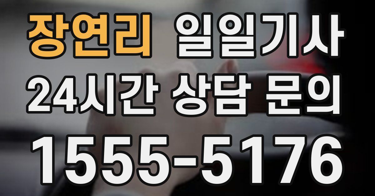 일일대리기사