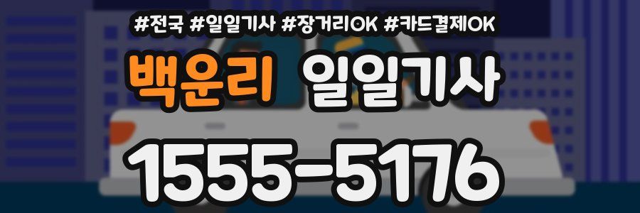 백운리 일일기사