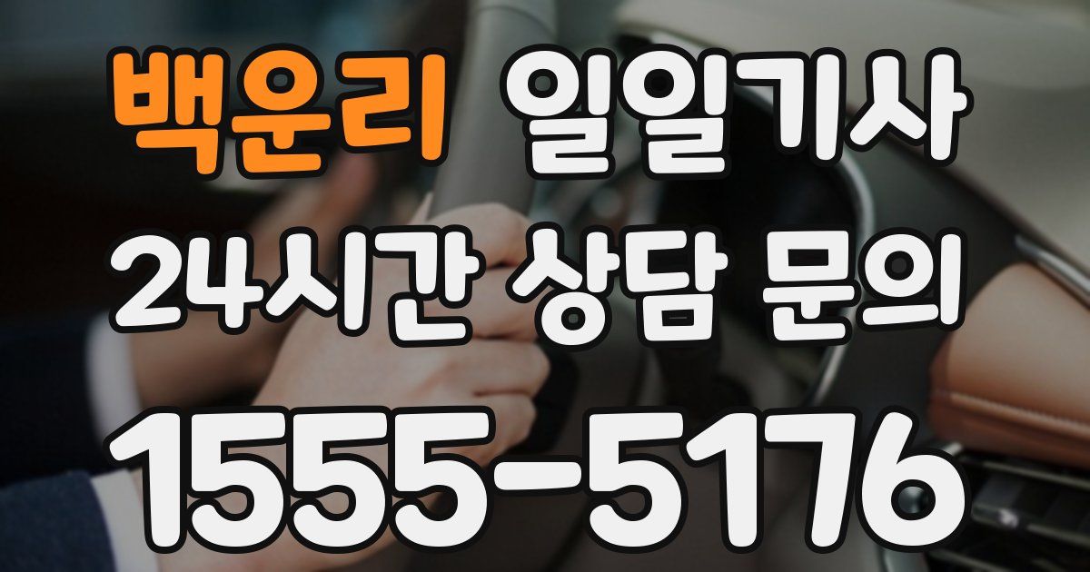 일일대리기사