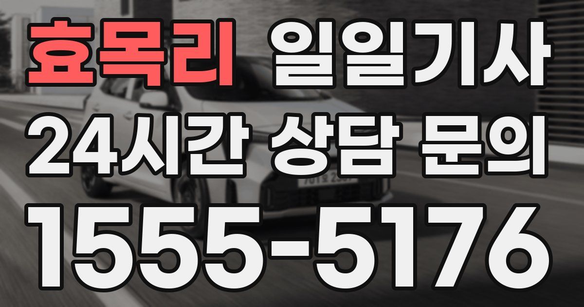 일일대리기사
