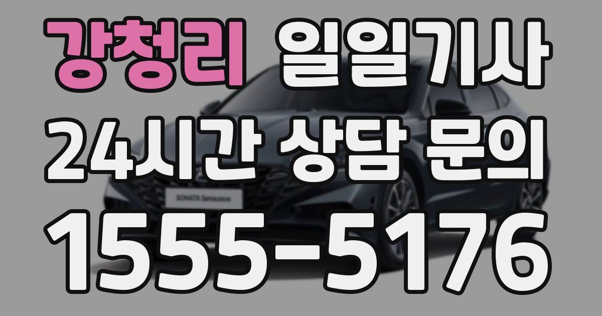 일일대리기사