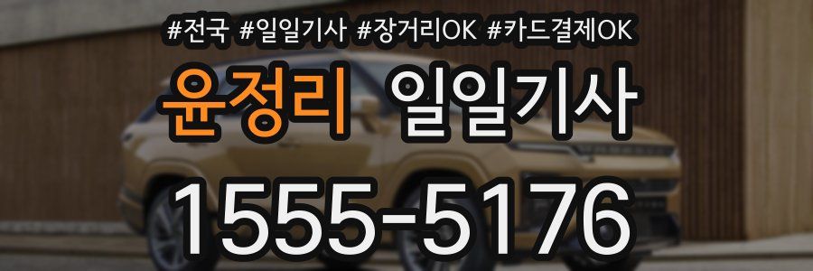 윤정리 일일기사