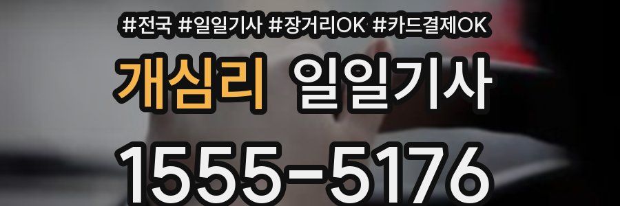 개심리 일일기사